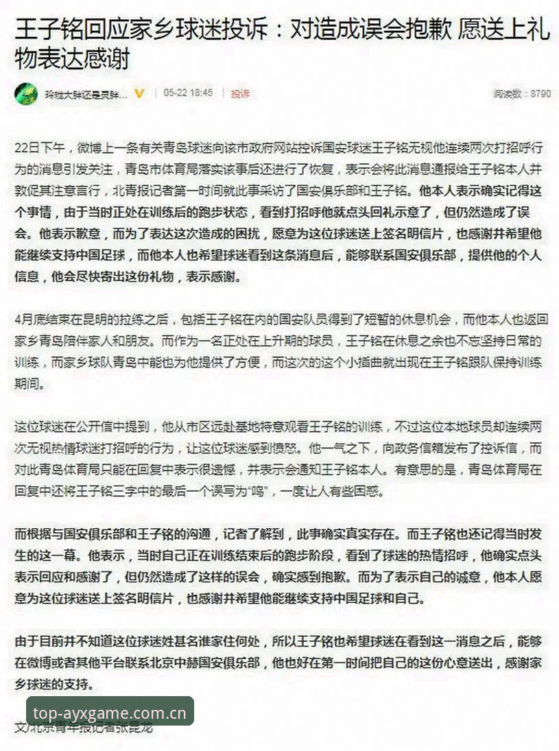 资深球迷分享：世界杯观赛签证危机下的真实体验与应对心得
